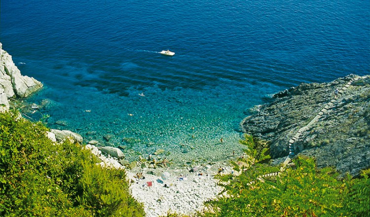 Isola d'elba - hotel la primula